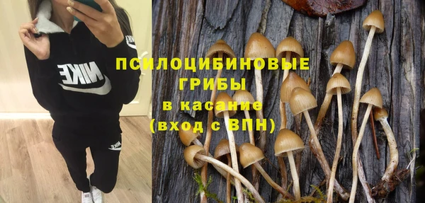 кокс Богданович