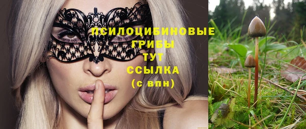 МДМА Богородицк