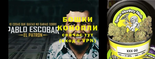 2c-b Богородск