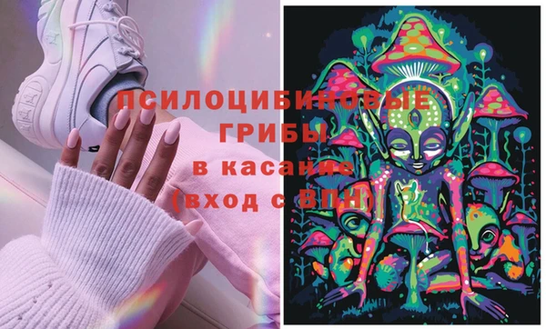 МДМА Богородицк