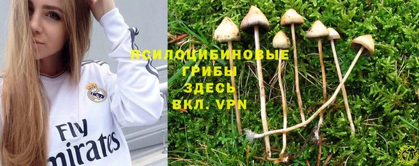2c-b Богородск